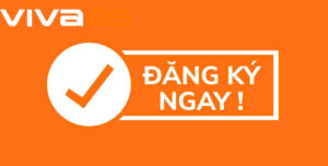 Đăng ký đúng cách giúp người dùng trải nghiệm trọn vẹn mọi tiện ích mà Viva88 mang lại.