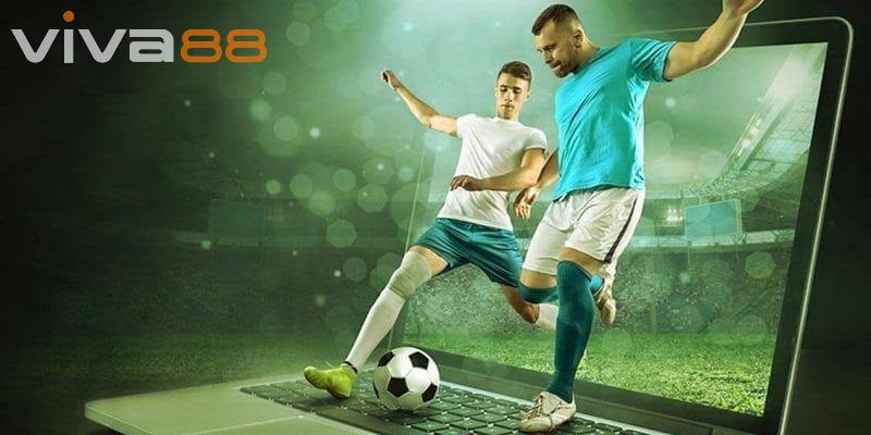 Phân tích ưu nhược điểm khi chọn kèo 0.5 viva88