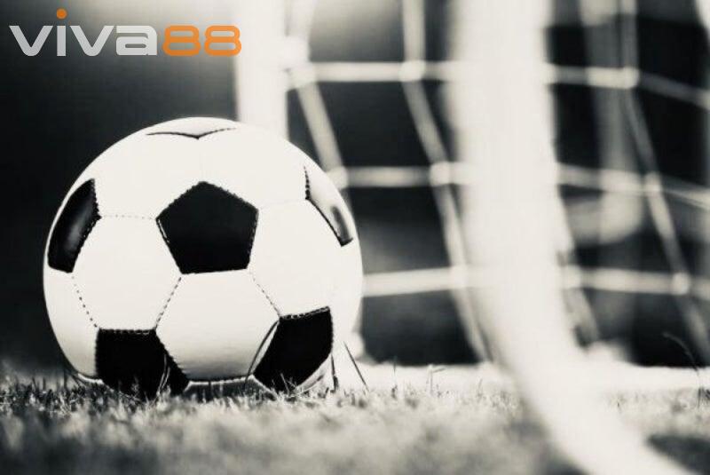 Những lợi ích khi chọn kèo 1/4 viva88