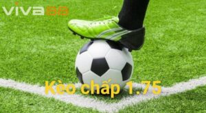 Ưu và nhược diểm khi chon kèo chấp 1.75 viva88