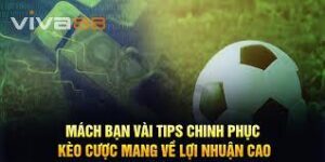 Những ưu thế khi chọn kèo chấp 1.75 viva88