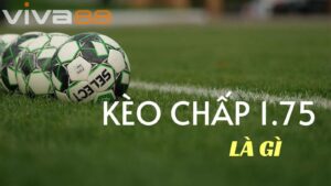 Điểm đặc biệt của kèo 1.75 là cược được chia nửa tiền, tạo ra sự linh hoạt và kịch tính hơn hẳn so với kèo 1.5 hay 2.0.